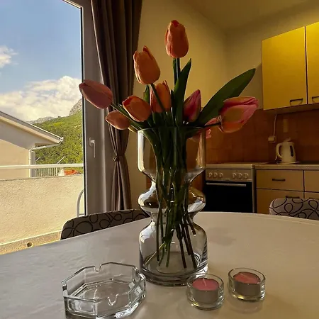 Apartmani Podaca 招待所 波达卡